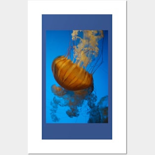 Glowing Jellyfish Posters and Art